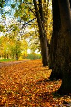 Herbst / ***