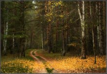 Ausgelassene Herbst Blatt ... / ***