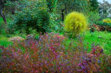 Die Palette der Herbst. / ........