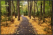 Herbst Allee / ***