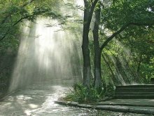 sonnig regen / ***