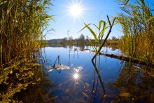 Herbst Teich / ***