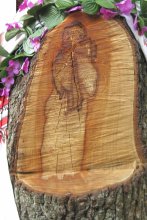 Unsere Dame / ***