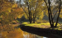 Sonniger Morgen / ***********