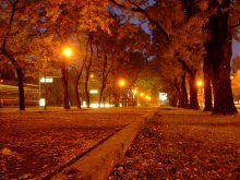 Herbst / *****