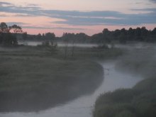 Nebel / ***