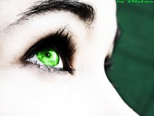 Meine Welt ... / ***