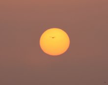 Morgendämmerung / *****
