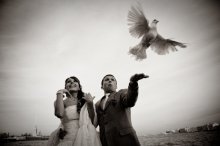 wedding / _____