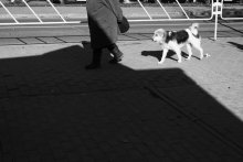 Denken Sie an den Namen / ....................