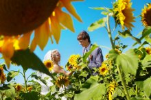 Sonnenblumen / wedding