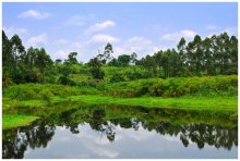 Afrikanische Landschaft / ***