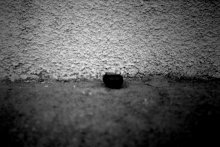 Lonely / ........