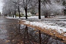 Erster Schnee, die letzten Blätter / ***