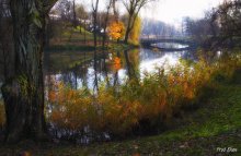 Herbst im Park. / *****