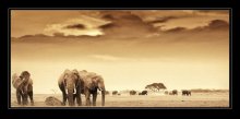 Inspiriert von Nick Brandt / ***