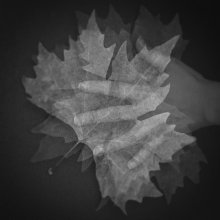 Lass mich dein Herbst ... / .........