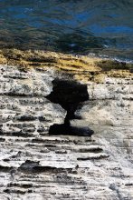 Und die Natur ist Flüstern .... / ***