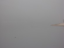Im Nebel .... / ***
