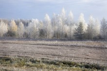 Der erste Frost / ***