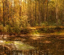 In der Nähe des goldenen Herbst / ************