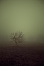 Über nastroencheskih Einflüsse von Nebel / ***