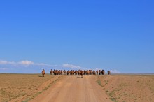 On the road with clouds / Walks in Mongolia