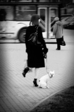 Heron mit einem Hund / ***