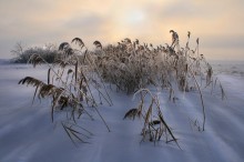 Nebel und Sonne / ***