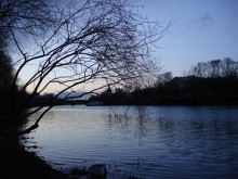 Bare Dezember 2006 / ***