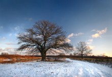 Winter auf Vilija / ***