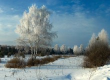 Frosty Morning / ***