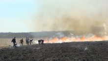 Pervomajskij Feuer / ***