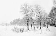 Leichtigkeit des Winters / ***