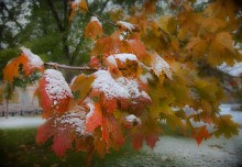 Der erste Schnee / ********