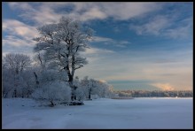 Licht im Winter / ***