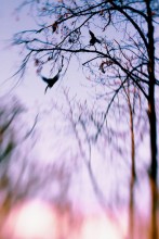 spell / ***