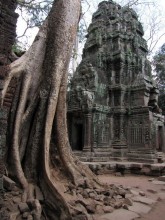 Der Tod von Ta Prohm / ***
