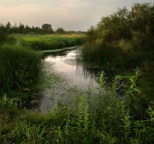 Rückstau / ***