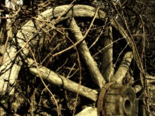 Nur Rad / ***