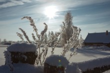 Frost und Sonne ... / *****