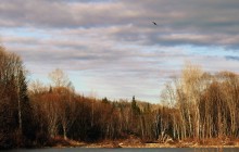 Herbst Taiga / ***