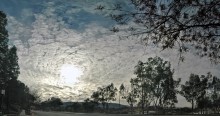 Der Winter Sonne scheint erbarmungslos / ***