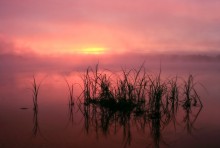 Morgen vor dem regen / ***