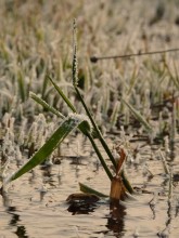 Der Winter ist gekommen .. / ......