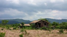 Hut / ***