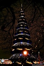 Silvester / ***
