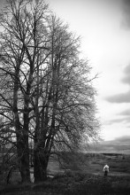 Künstler / ...............................................