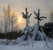 Tango für zwei / ***