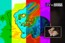 Jahr des Hasen / ***